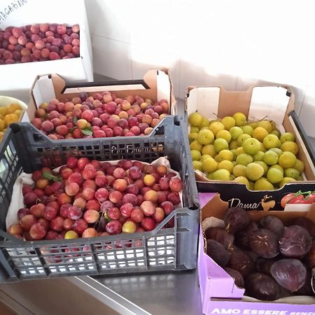 Locanda Dell'Amicizia Seccheto Esterno foto