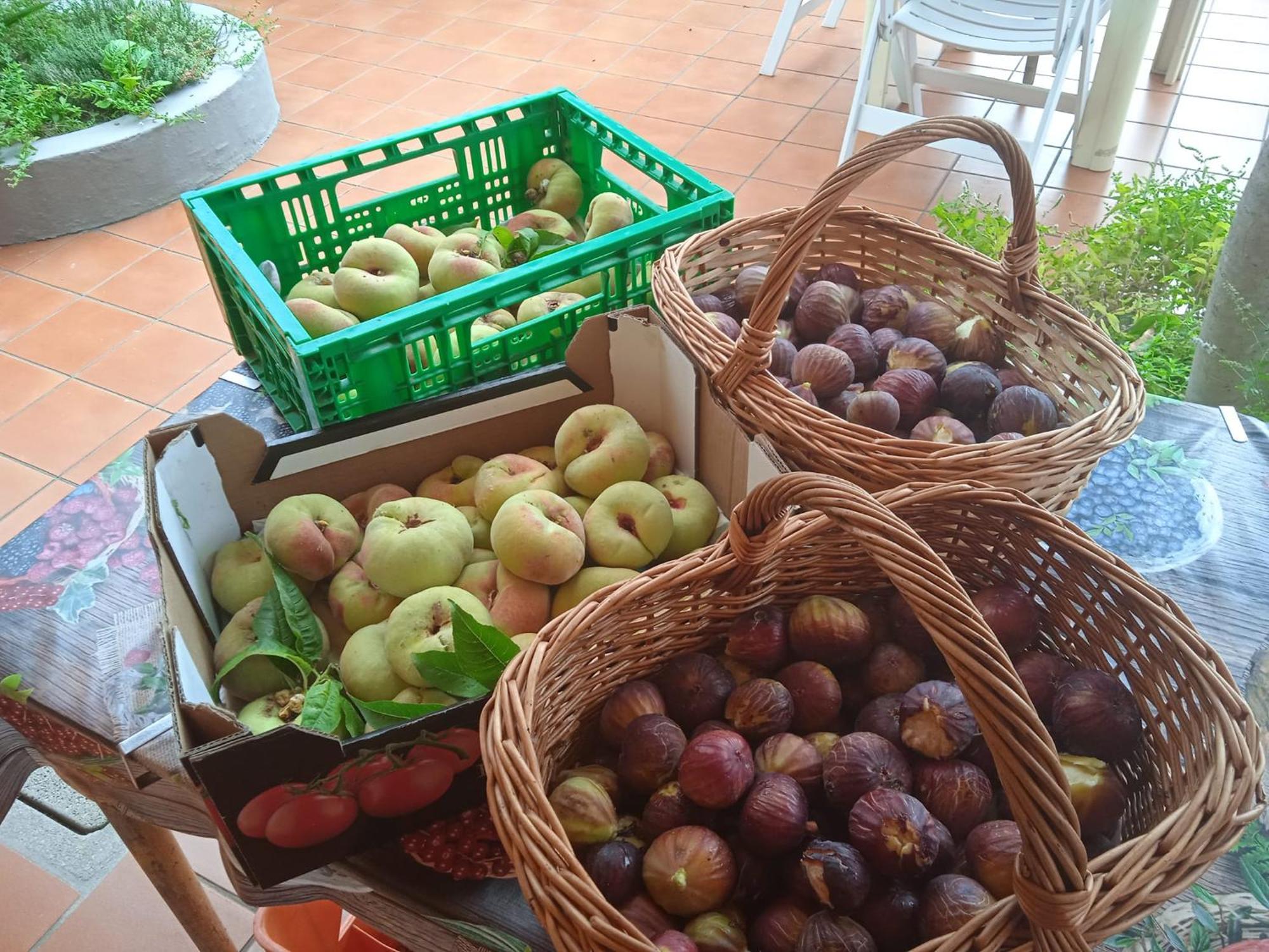 Locanda Dell'Amicizia Seccheto Esterno foto
