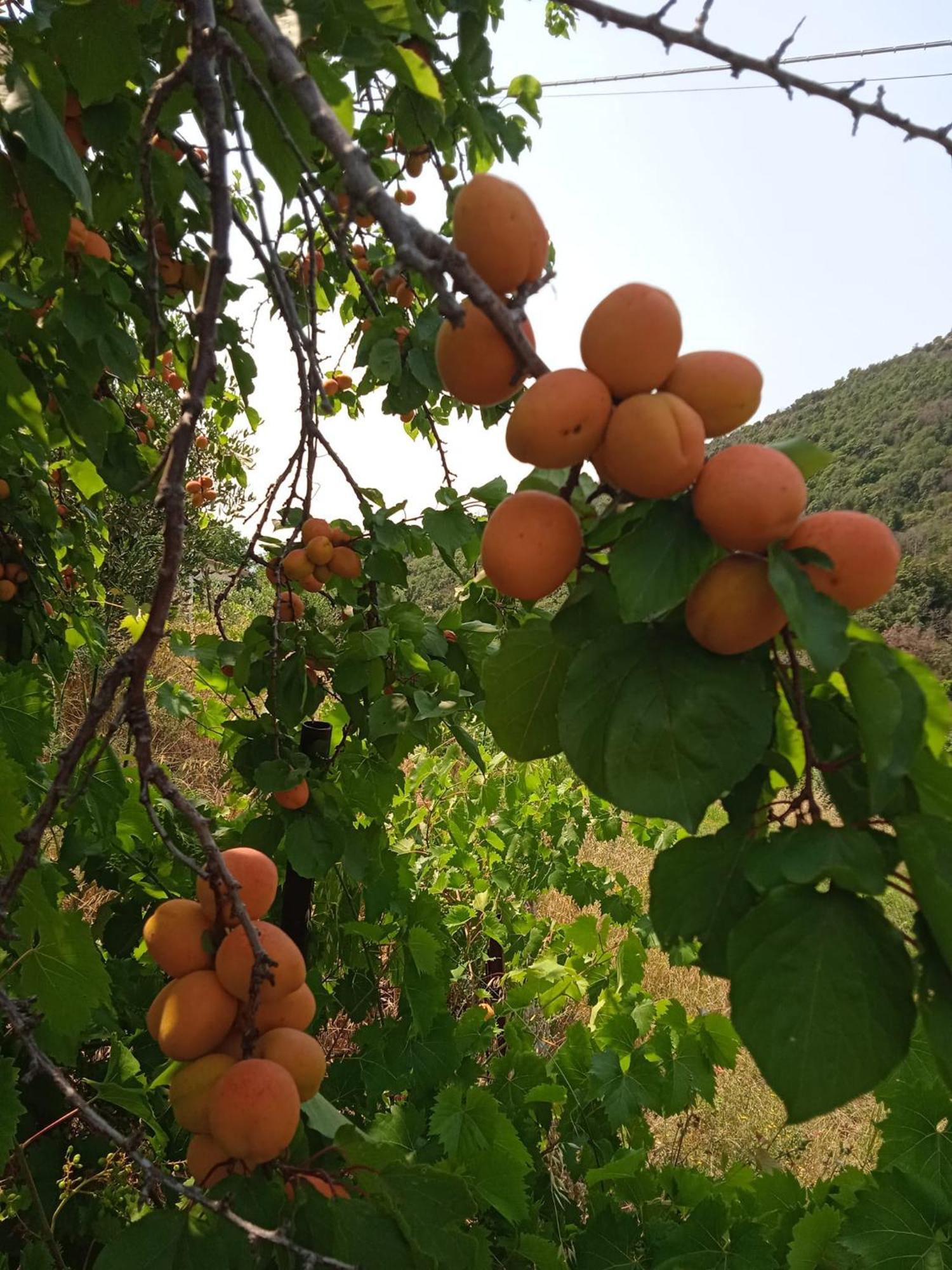 Locanda Dell'Amicizia Seccheto Esterno foto