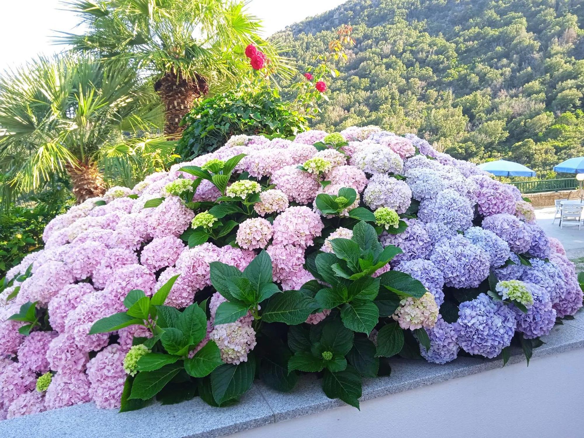 Locanda Dell'Amicizia Seccheto Esterno foto