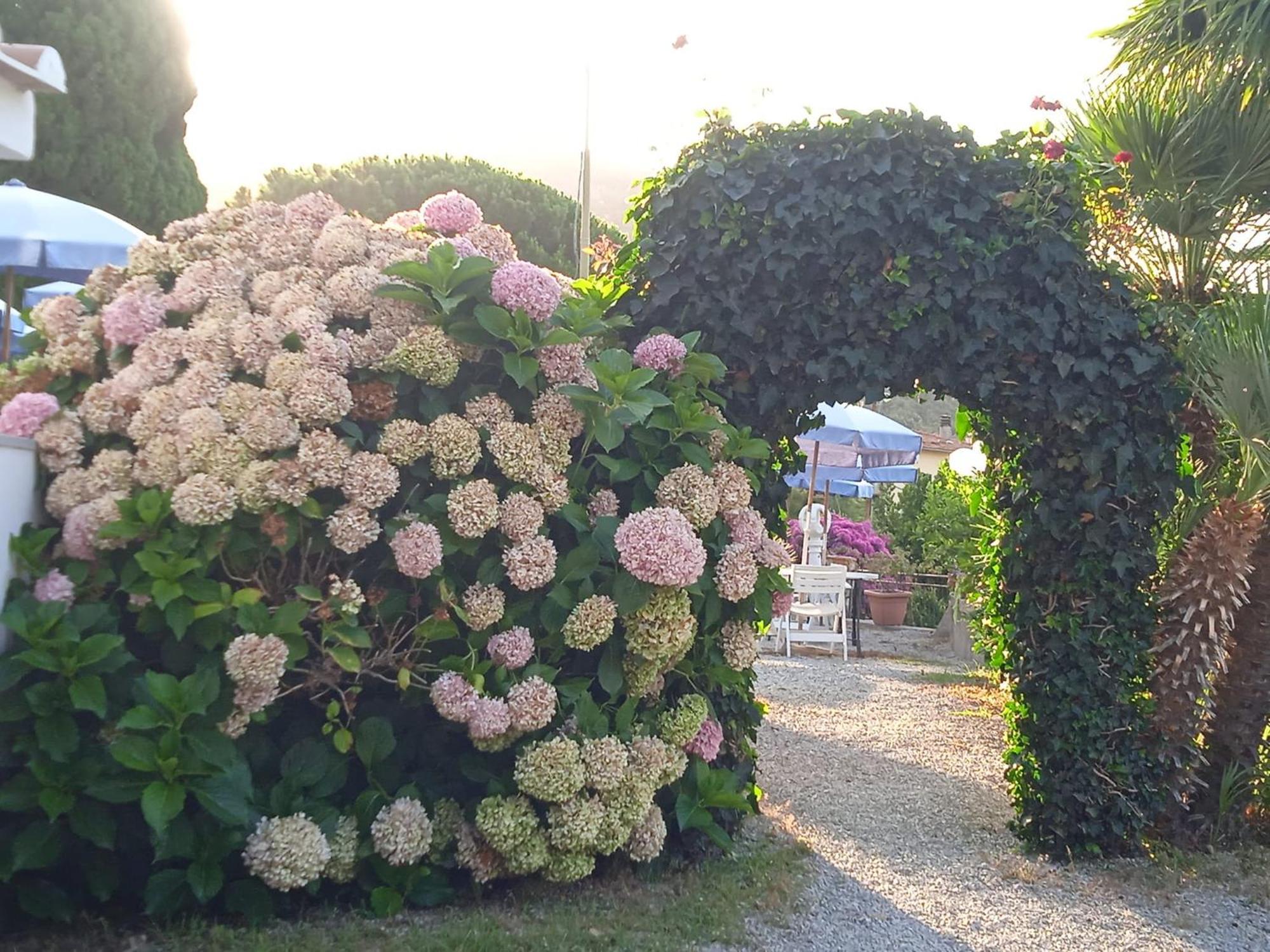 Locanda Dell'Amicizia Seccheto Esterno foto