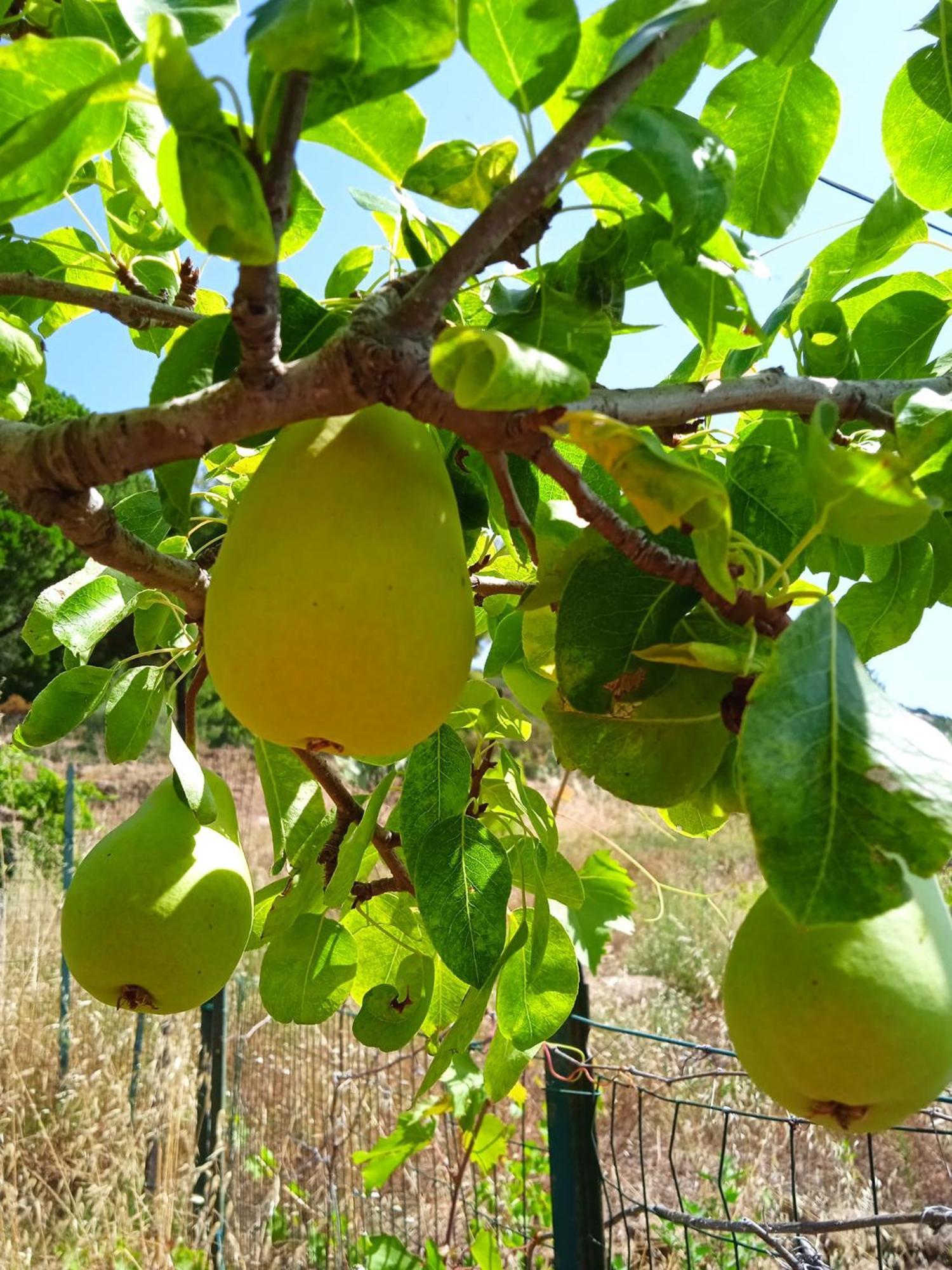 Locanda Dell'Amicizia Seccheto Esterno foto