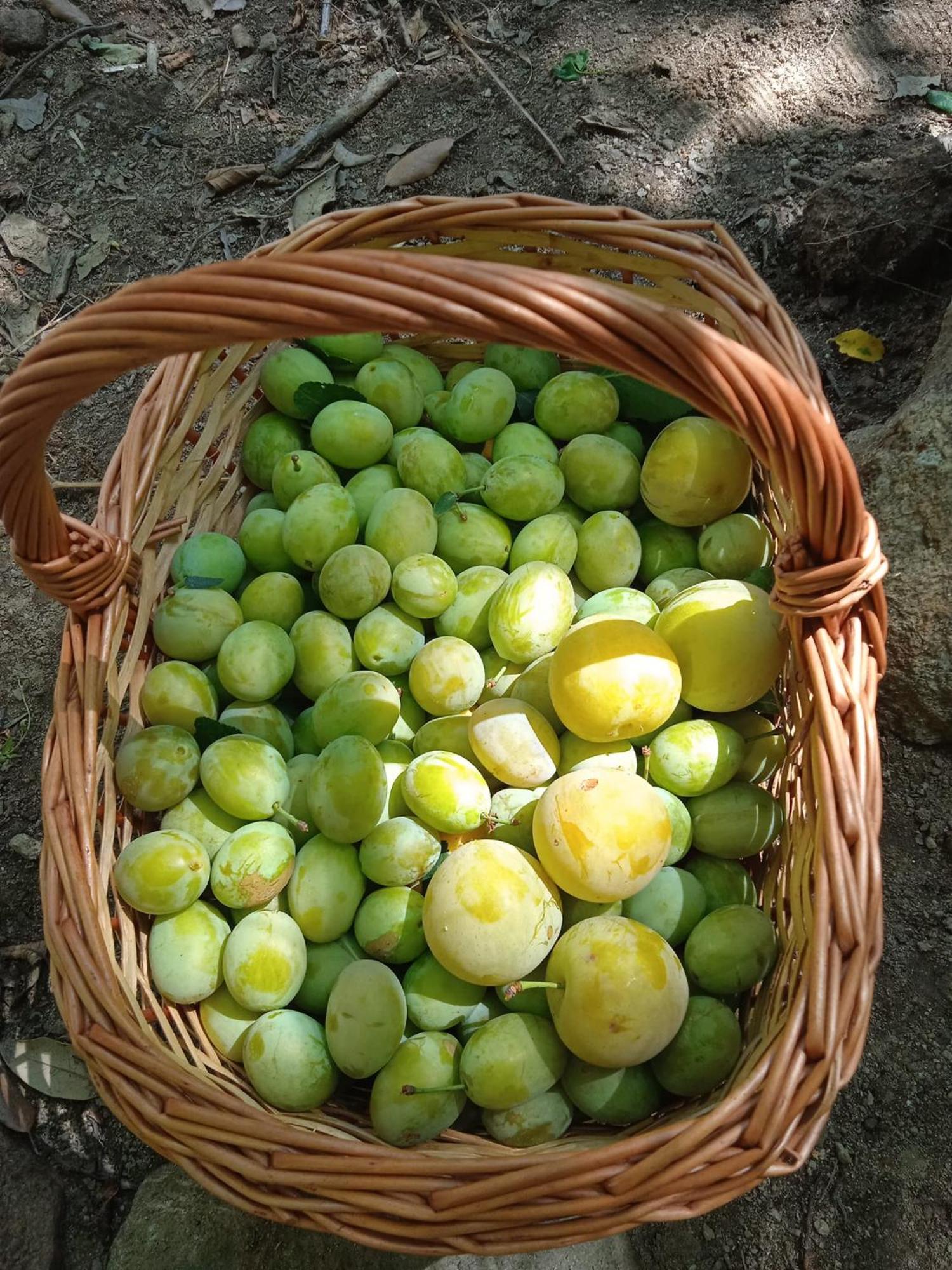 Locanda Dell'Amicizia Seccheto Esterno foto